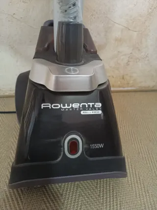 Plancha Vertical Rowenta Usada 2 Veces