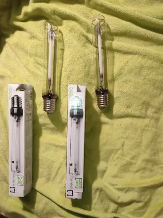Bombillas sodio HPS 600W Cultivo Indoor. 1 cultivo