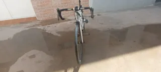 Giant TCR Advanced Carbon Di2 11V