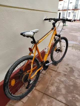 Bicicleta Orbea Naranja
