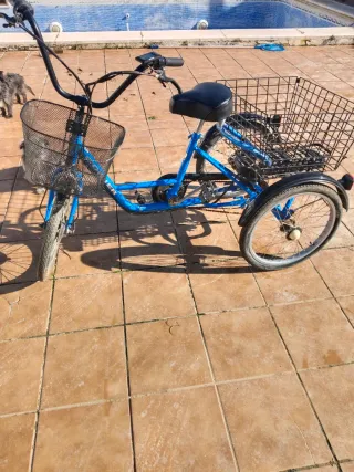 Triciclo Eléctrico Adulto GOMIER