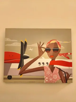 Cuadro Decorativo Mujer y Avión