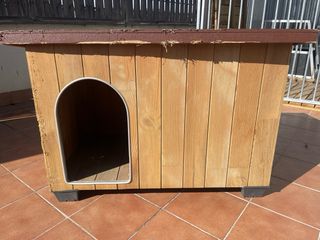 Caseta Perro Mediano/Grande
