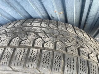 Neumaticos 4x4 baratos