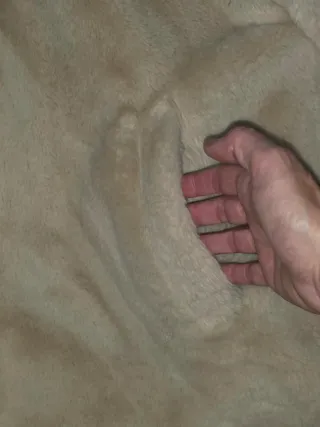 Chaqueta de pelo beige con capucha