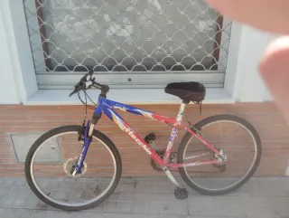 Bicicleta de Montaña