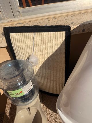 Arenero, rascador y bebedero para gatos