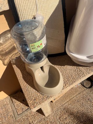 Arenero, rascador y bebedero para gatos