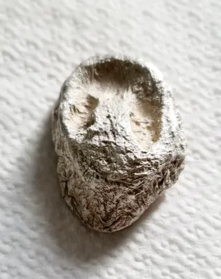 Pepita de Plata de Ley 51.8g