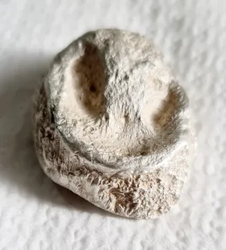 Pepita de Plata de Ley 51.8g