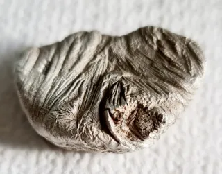 Pepita de Plata de Ley 51.8g