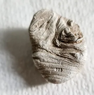 Pepita de Plata de Ley 51.8g