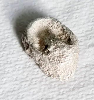 Pepita de Plata de Ley 51.8g