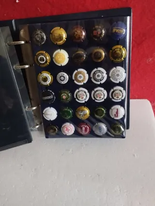 Colección Chapas botellas champán