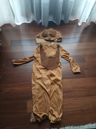 Disfraz infantil de León