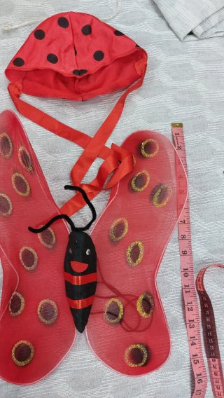 Ali e cappello Coccinella Carnevale bimba
