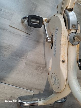 Bicicleta Estática BH Vintage