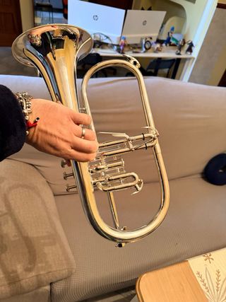 Fliscorno Bach FH 501 Plateado