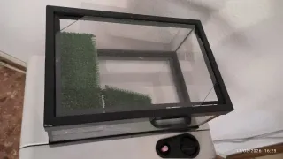 Tortuguera / Terrario Negro y Transparente