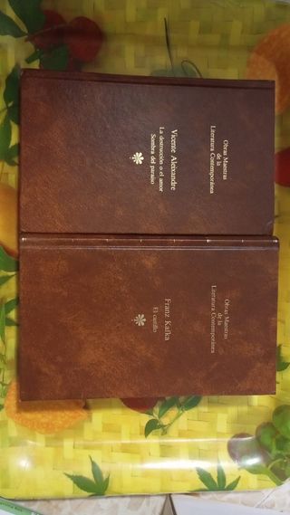 Libros de Kafka y Vicente Aleixandre