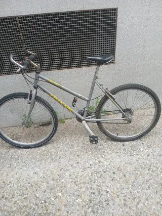 Bicicleta Rally Taigor Gris