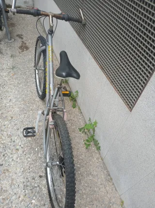 Bicicleta Rally Taigor Gris