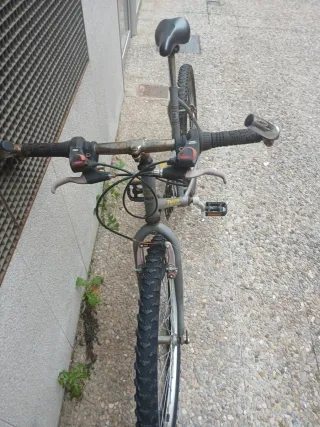 Bicicleta Rally Taigor Gris