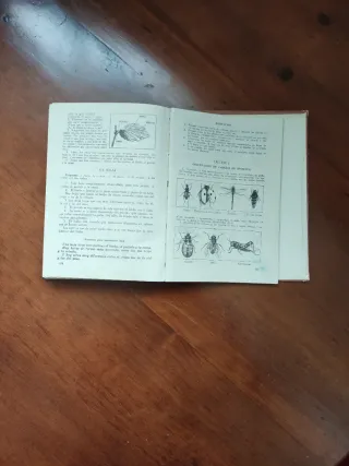 Enciclopedia Período Elemental 1953
