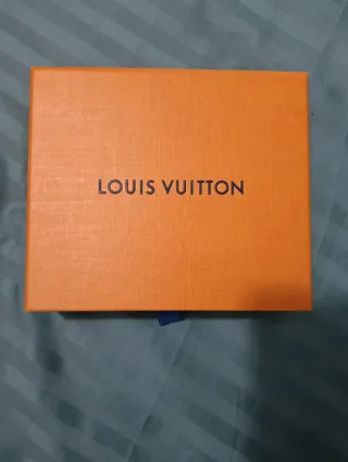 Buste Louis Vuitton Arancione