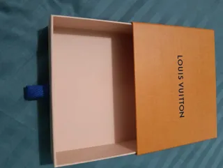 Buste Louis Vuitton Arancione