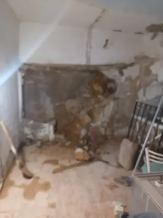 Busco empleo,,albañilería jardinería pintura ect.