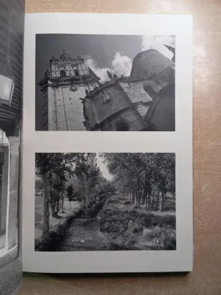 El camino del Cid. Asis G. Ayerbe.