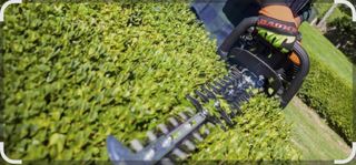 Poda de setos y desbroces.