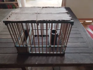 Gabbia per uccellini in legno, plastica e metallo