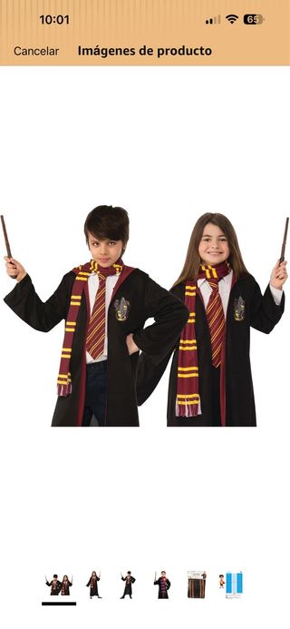 Disfraz Harry Potter