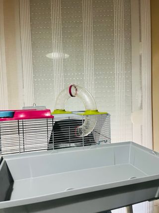 Jaula Hámster 50x28 cm con Tubos