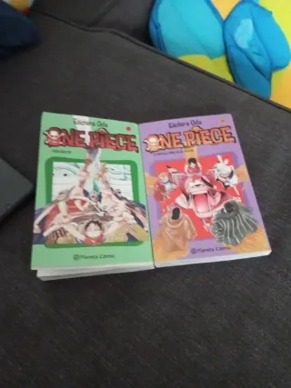 Libro One piece