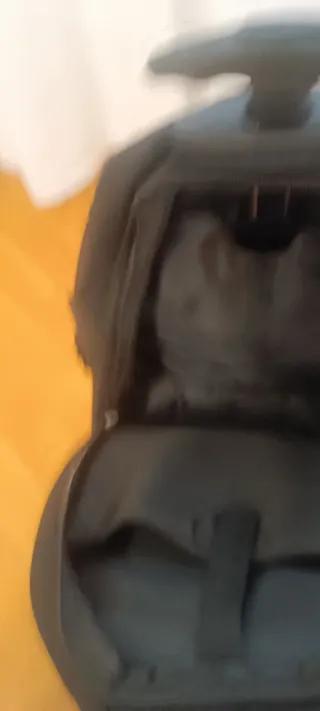 Mochila ejecutiva IBM con ruedas