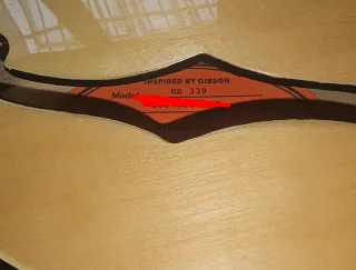 Epiphone ES-339 + Funda Armour