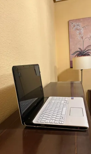 Sony VAIO Portátil Plata y Negro