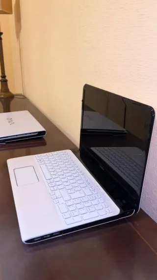 Sony VAIO Portátil Plata y Negro