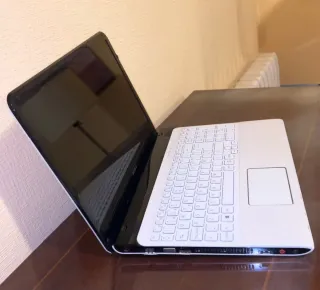 Sony VAIO Portátil Plata y Negro