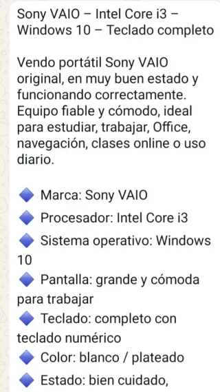 Sony VAIO Portátil Plata y Negro