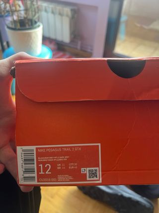 Nike Pegasus Trail 2 Gore-Tex Negras T46