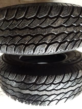 2 Neumáticos Wildcat Radial AT 225/75/15