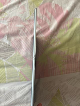 iPad Pro 12.9 2ª Gen