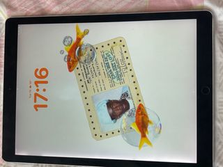 iPad Pro 12.9 2ª Gen