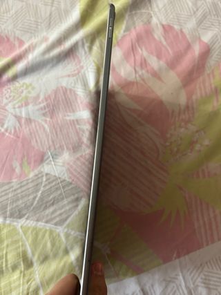 iPad Pro 12.9 2ª Gen