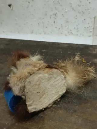 LIQUIDACIÓN Maquineta vintage peluche con cuenco