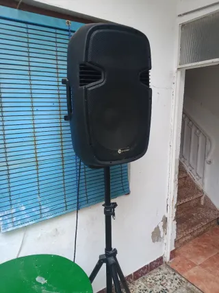 Altavoz Fungeneration Generation PL 115 P